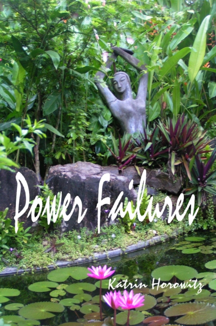 E-book Power Failures Katrin Horowitz
