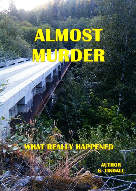 E-knjiga Almost Murder Gary Tindall