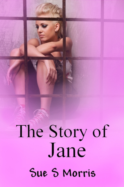 E-knjiga Story of Jane Sue S Morris