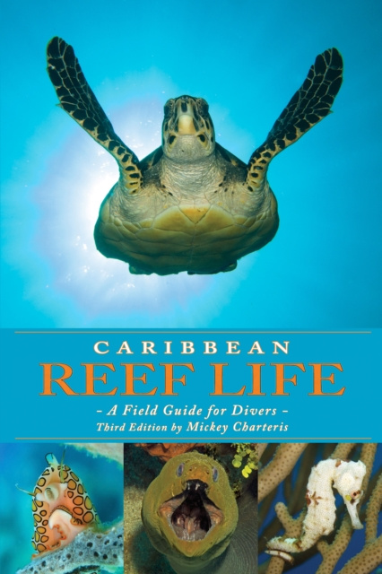 E-book Caribbean Reef Life Mickey Charteris