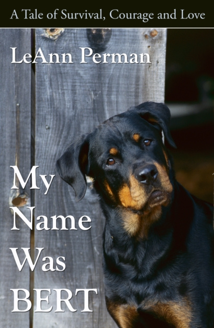 E-Book My Name Was Bert LeAnn Perman