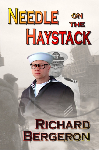 E-kniha Needle on the Haystack Richard Bergeron
