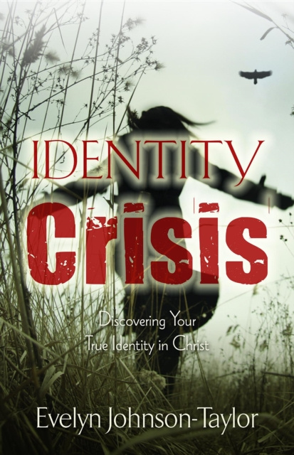 E-Book Identity Crisis Evelyn Johnson Taylor