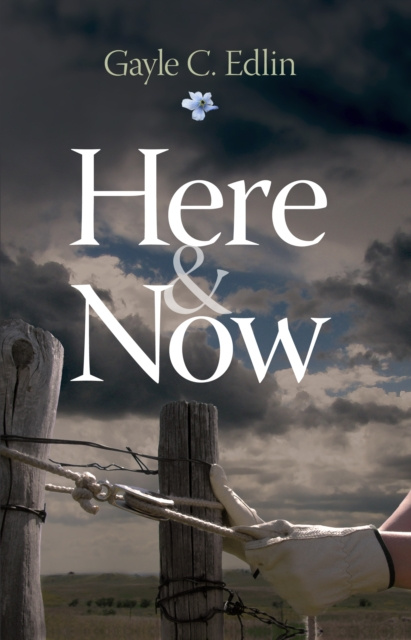 ebook Here & Now Gayle C. Edlin