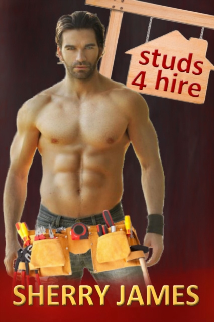 E-knjiga Studs 4 Hire Boxed Set Sherry James