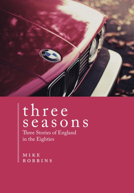 E-knjiga Three Seasons Mike Robbins