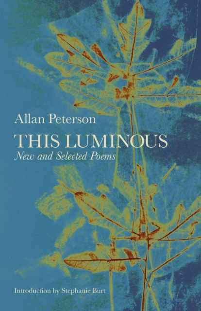 E-book This Luminous Allan Peterson