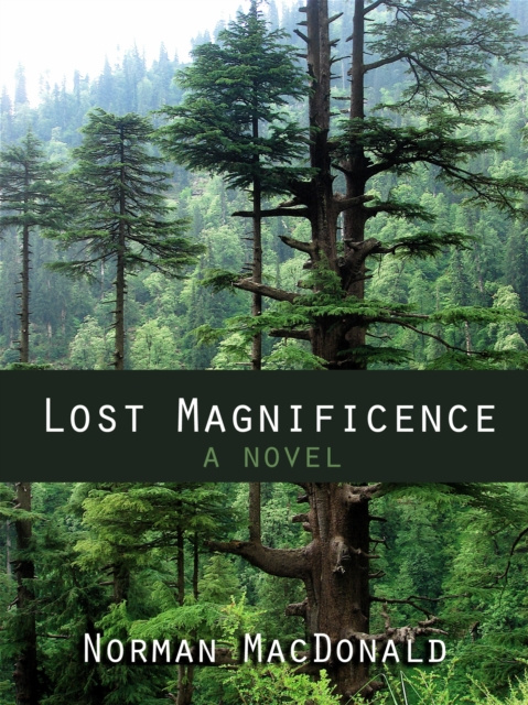 E-book Lost Magnificence Norman MacDonald