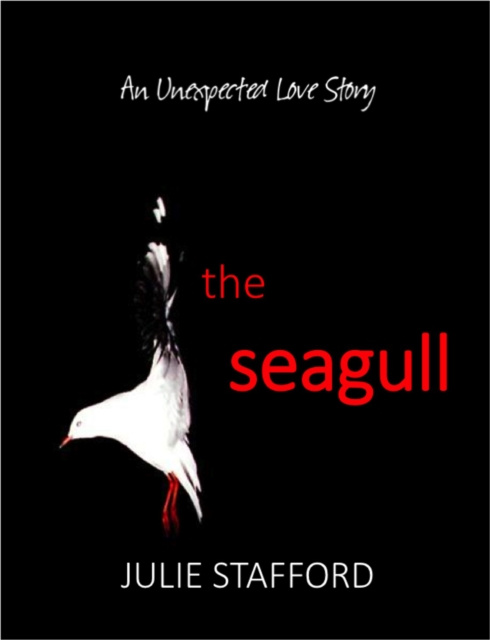 E-knjiga Seagull Julie Stafford