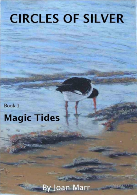 E-knjiga Magic Tides Joan Marr