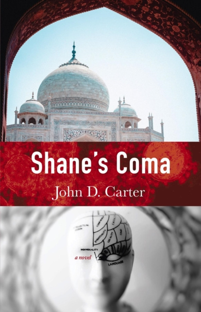 E-knjiga Shane's Coma John D Carter