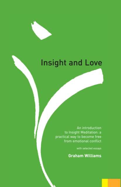 E-kniha Insight and Love Graham Williams