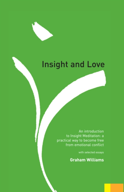 E-book Insight and Love Graham Williams