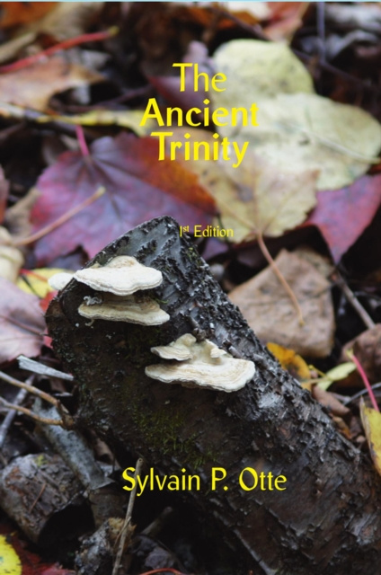 E-knjiga Ancient Trinity Sylvain P Otte