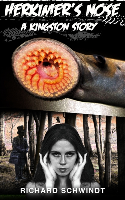 E-book Herkimer's Nose Richard Schwindt