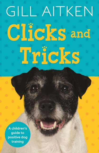 E-knjiga Clicks and Tricks Gill Aitken
