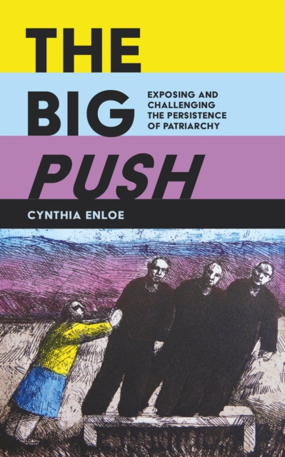 E-book Big Push Cynthia Enloe