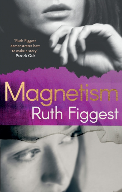 E-knjiga Magnetism Ruth Figgest