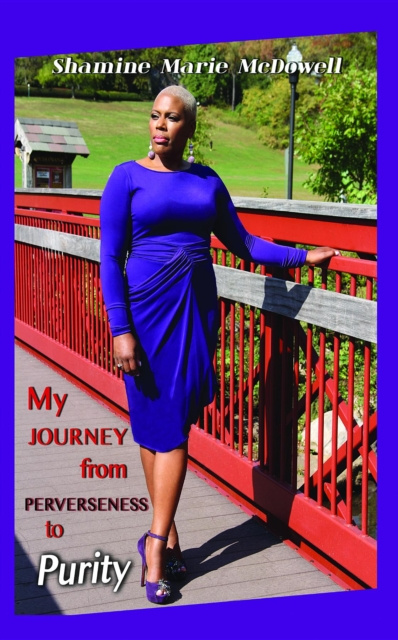 E-knjiga My Journey from Perverseness to Purity Shamine McDowell