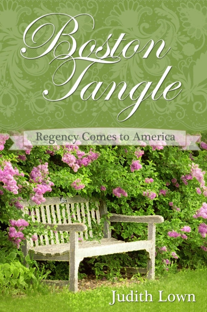 E-book Boston Tangle Judith Lown