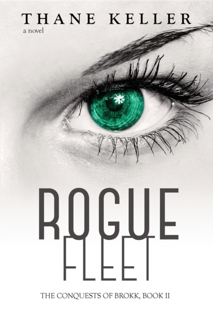 E-book Rogue Fleet Thane Keller