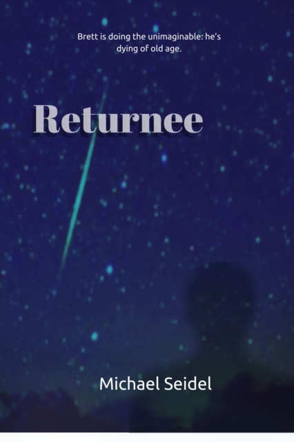 E-knjiga Returnee Michael Seidel