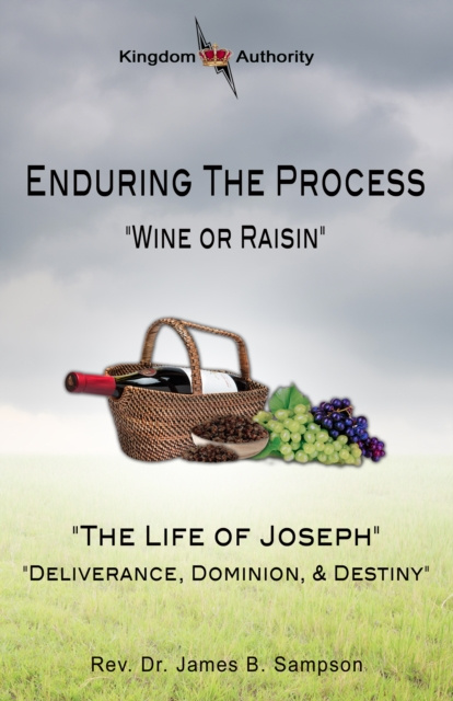 E-knjiga Enduring the Process Rev. Dr. James B. Sampson