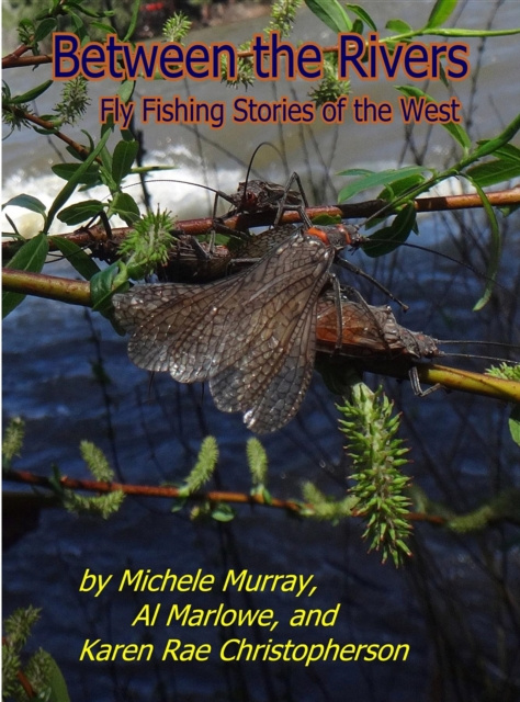E-knjiga BETWEEN THE RIVERS MICHELE MURRAY