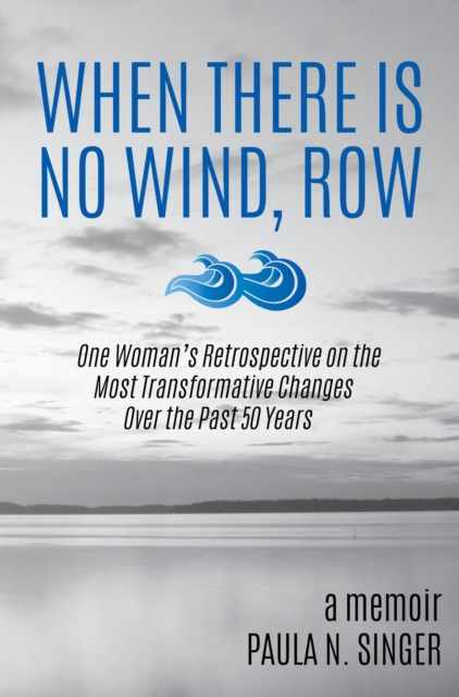 E-knjiga When There Is No Wind, Row Paula N. Singer