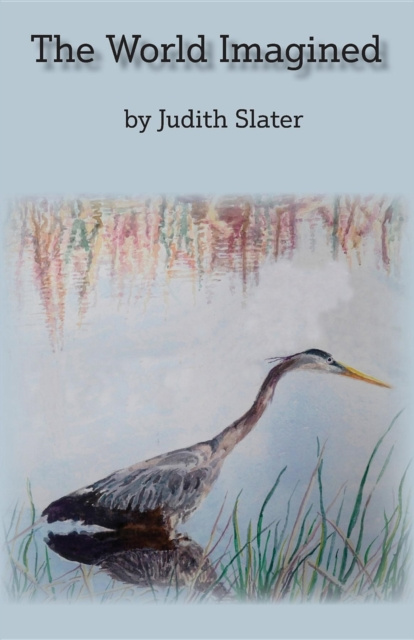 E-Book World Imagined Judith Slater