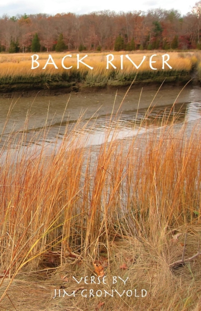 E-book Back River Jim Gronvold