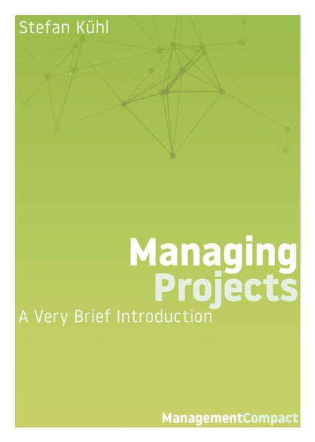 E-kniha Managing Projects Stefan Kuhl