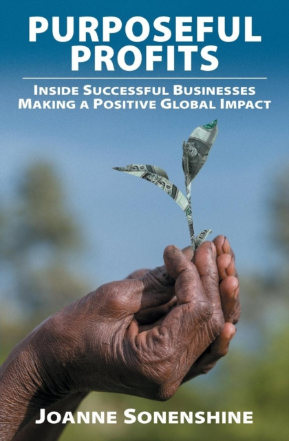E-knjiga Purposeful Profits Joanne Sonenshine