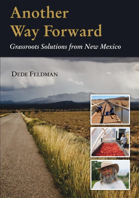 E-knjiga Another Way Forward Dede Feldman