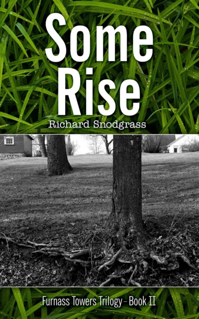 E-book Some Rise Richard Bruce Snodgrass