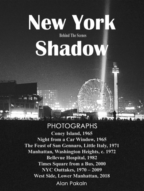 E-Book New York Shadow Alan Pakaln