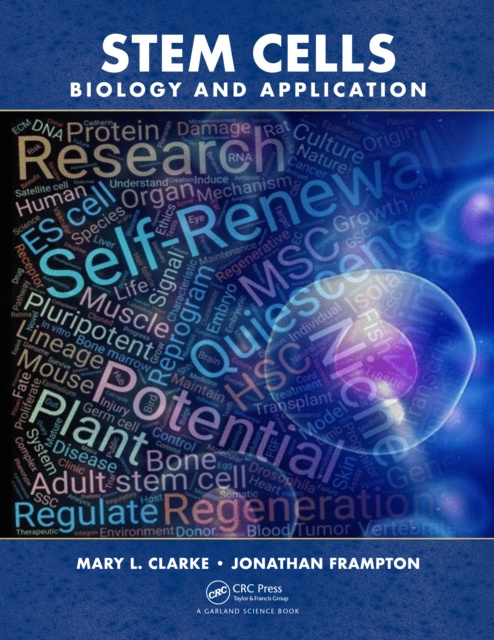 E-book Stem Cells Mary Clarke
