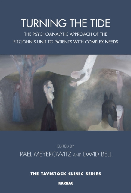 E-knjiga Turning the Tide Rael Meyerowitz