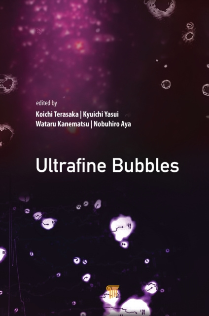 E-knjiga Ultrafine Bubbles Koichi Terasaka