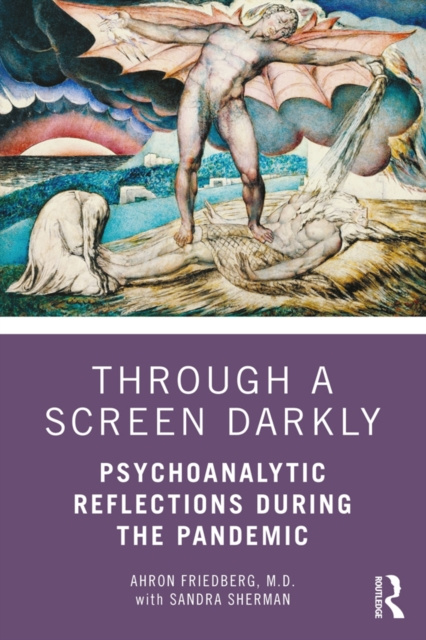 E-book Through a Screen Darkly Ahron Friedberg