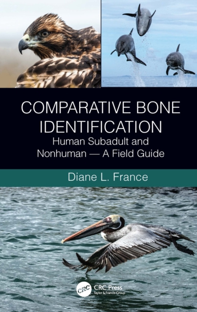 E-knjiga Comparative Bone Identification Diane L. France