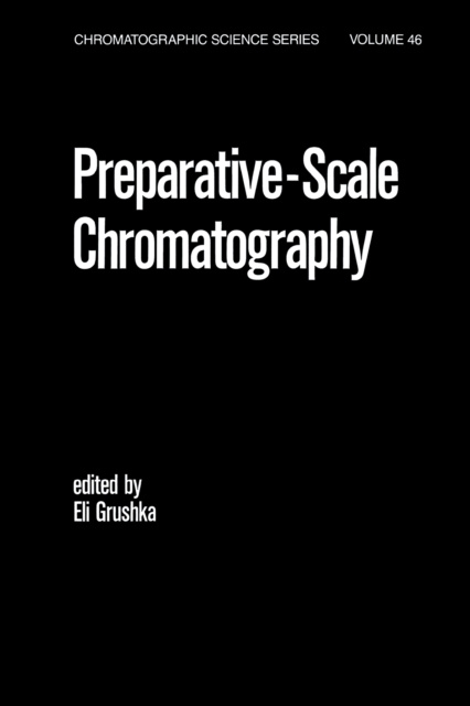 E-kniha Preparative Scale Chromatography Eli Grushka