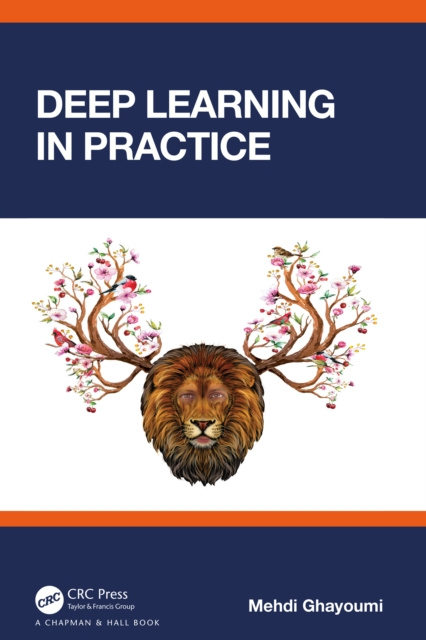 E-book Deep Learning in Practice Mehdi Ghayoumi
