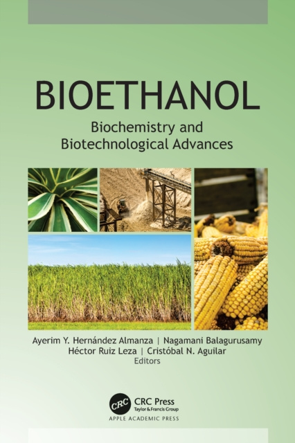 E-book Bioethanol Ayerim Y. Hernandez Almanza