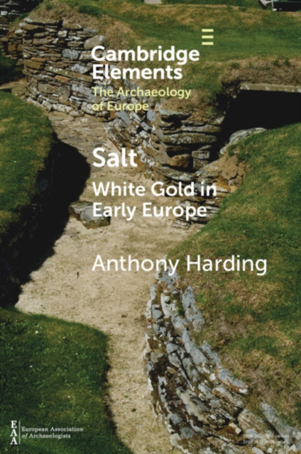 E-Book Salt Anthony Harding