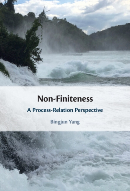 E-book Non-Finiteness Bingjun Yang