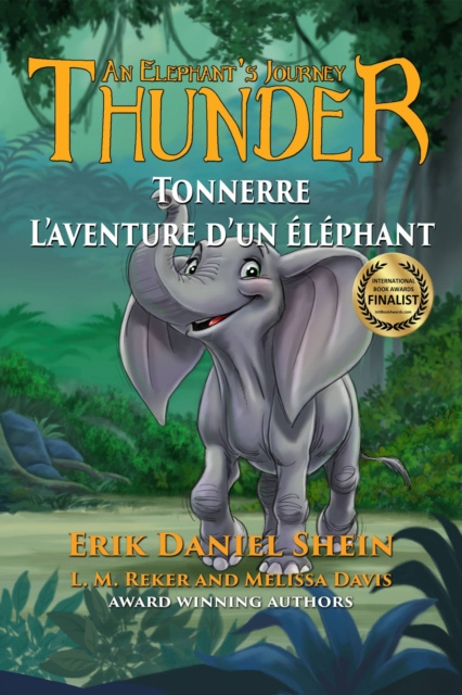 E-book Tonnerre Erik Daniel Shein