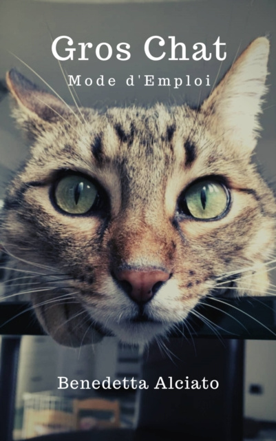 E-book Gros chat : mode d'emploi Benedetta Alciato