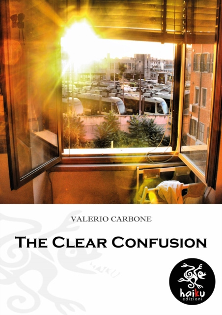 Livre numérique Clear Confusion Valerio Carbone