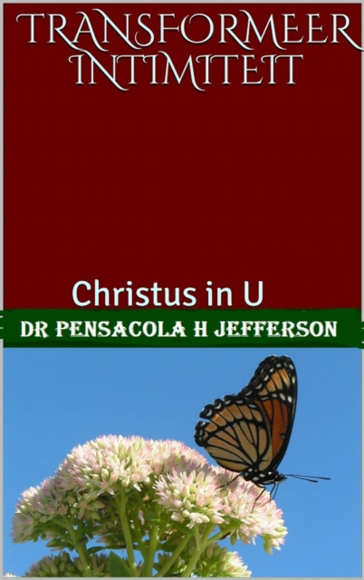 E-kniha Transformeer Intimiteit Dr. Pensacola H. (Pensacola Helene) Jefferson
